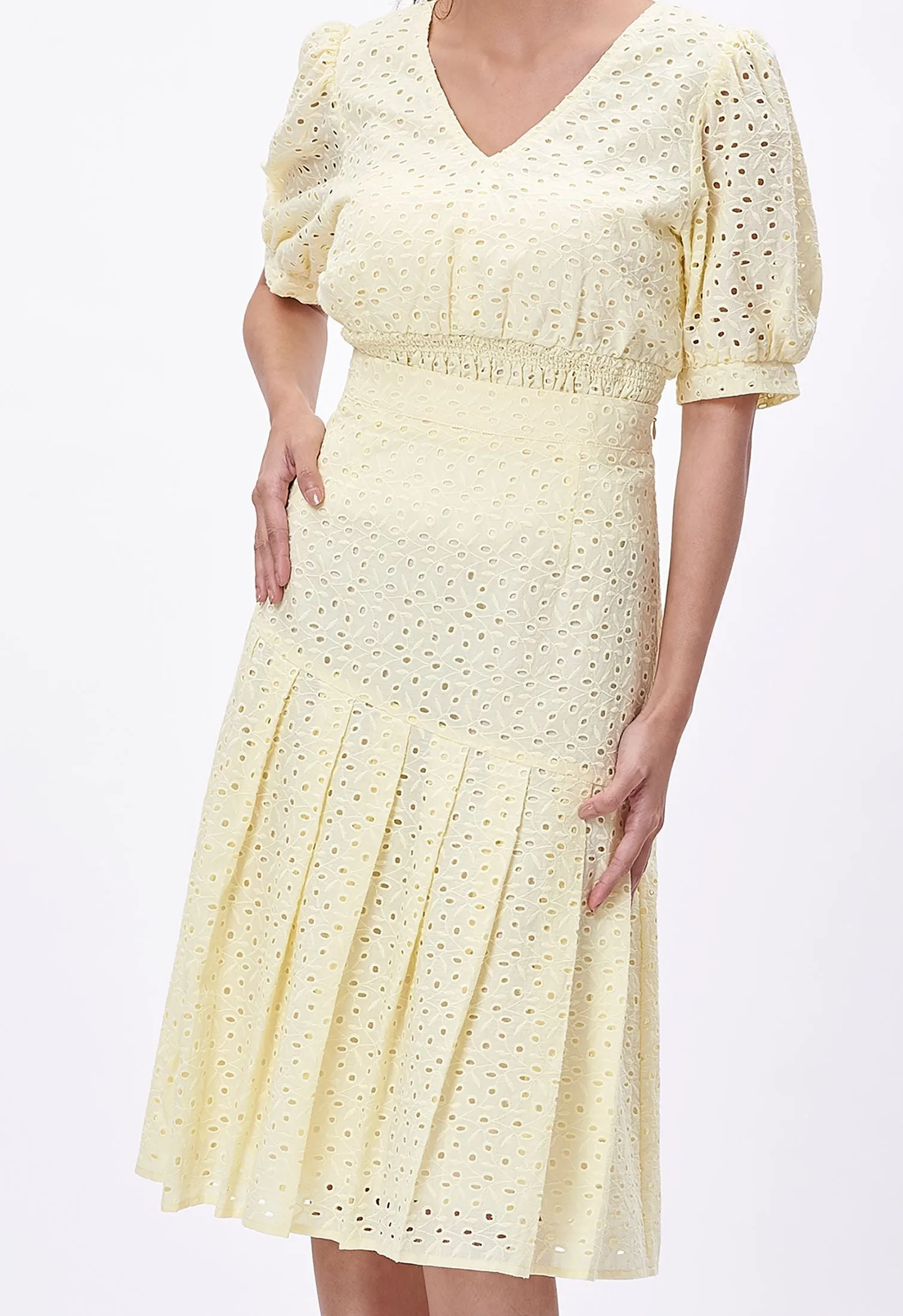 Embroidery Eyelet Panel Skirt